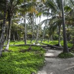 Una tragicómica visita al Parque Tayrona